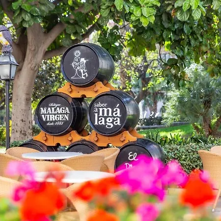 Premium Executive - Mitjana Center *