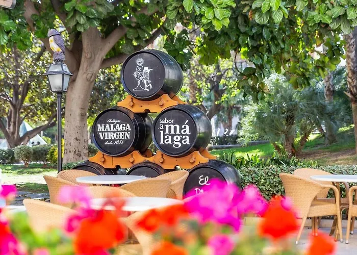 Premium Executive - Mitjana Center *